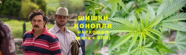 трава Арсеньев