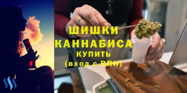 твердый Новодвинск