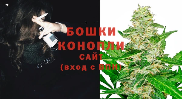 СК Новокубанск