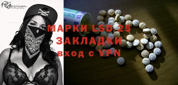 твердый Новодвинск