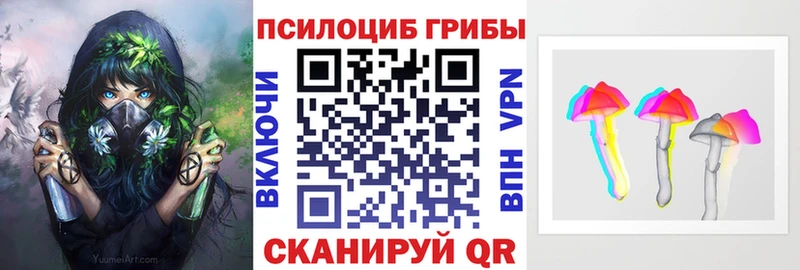 omg зеркало купить наркоту Полесск Псилоцибиновые грибы мицелий